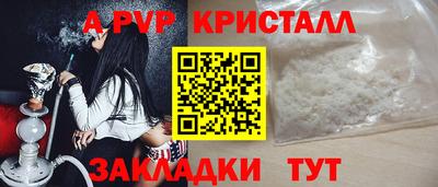стаф Будённовск