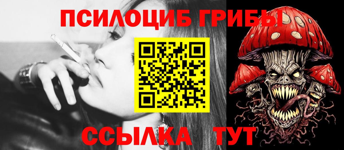 Псилоцибиновые грибы MAGIC MUSHROOMS Юрга